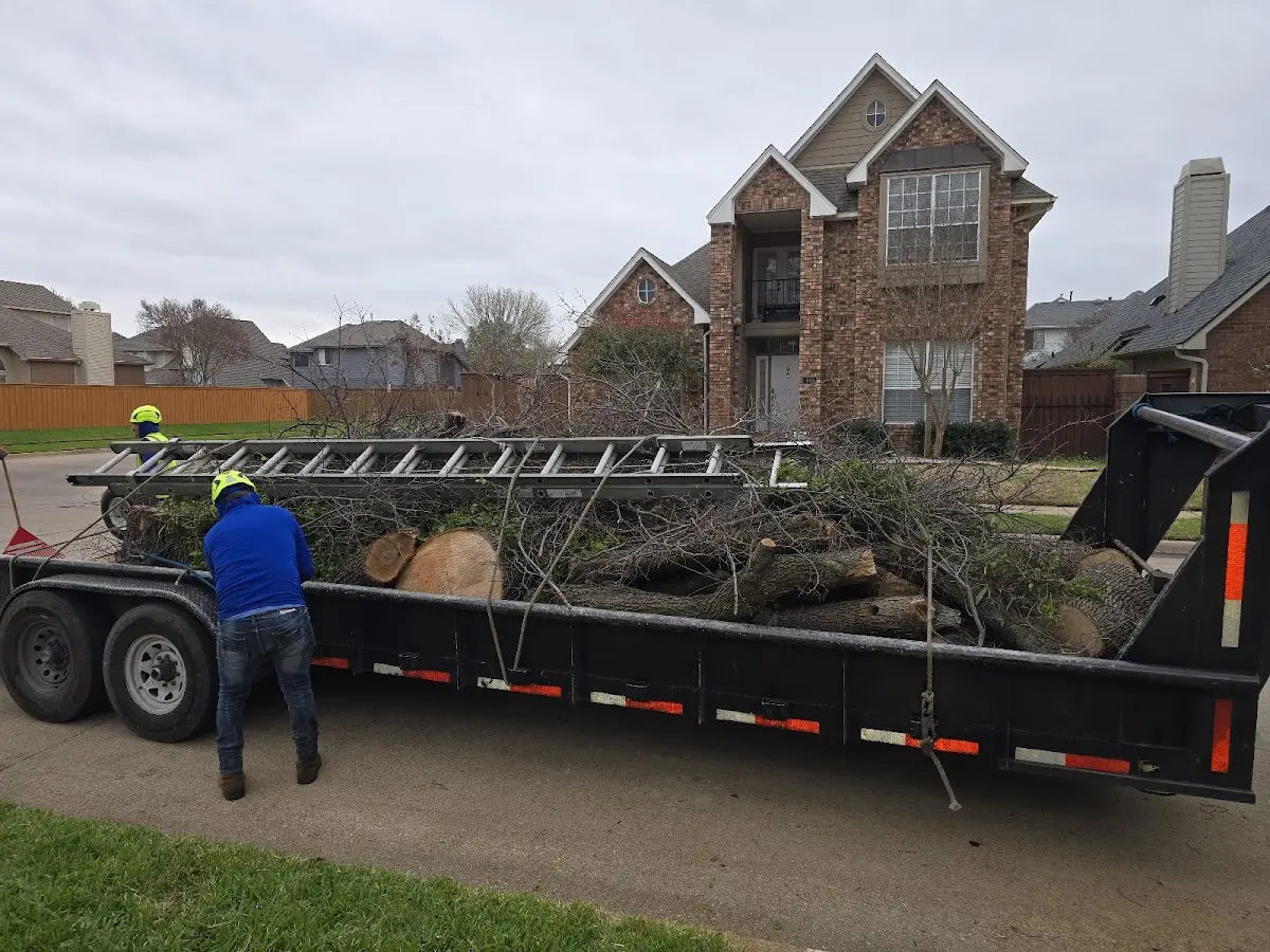 Expert Lot Clearing with proper safety equipment in Camp Douglas